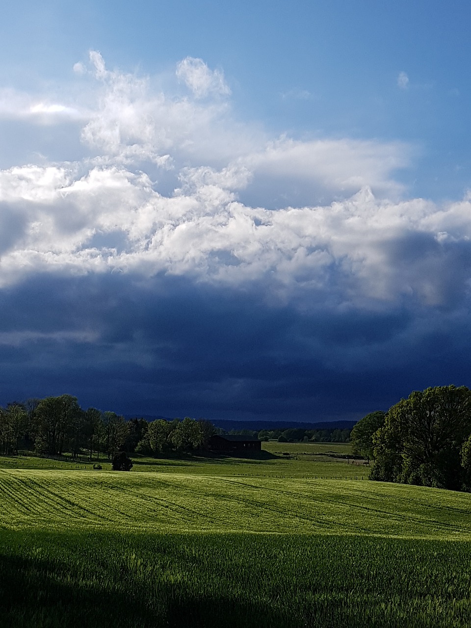 Storm